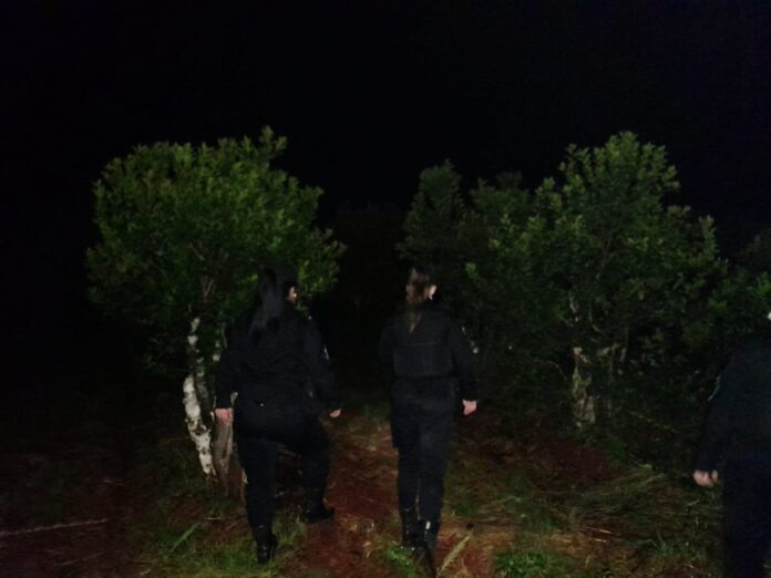 WhatsApp Image 2022-11-23 at 09.42.48