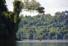 Jueves con temperaturas en ascenso en Misiones