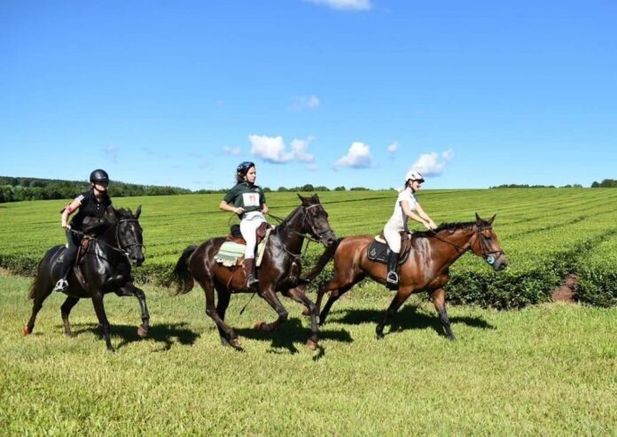 WhatsApp Image 2023-05-19 at 10.51.51