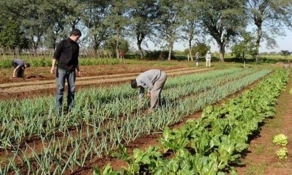 Productores-de-Misiones
