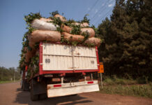 “Desregular el mercado yerbatero perjudicará a la mayoría del sector” advirtió Safrán