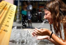 Viernes con altas temperaturas en Misiones