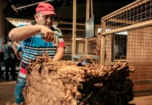 La Provincia anunció el pago de $8 mil millones para más de 11 mil familias tabacaleras