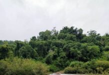 Cerraron el acceso al Parque Provincial Moconá por crecida del arroyo Yabotí