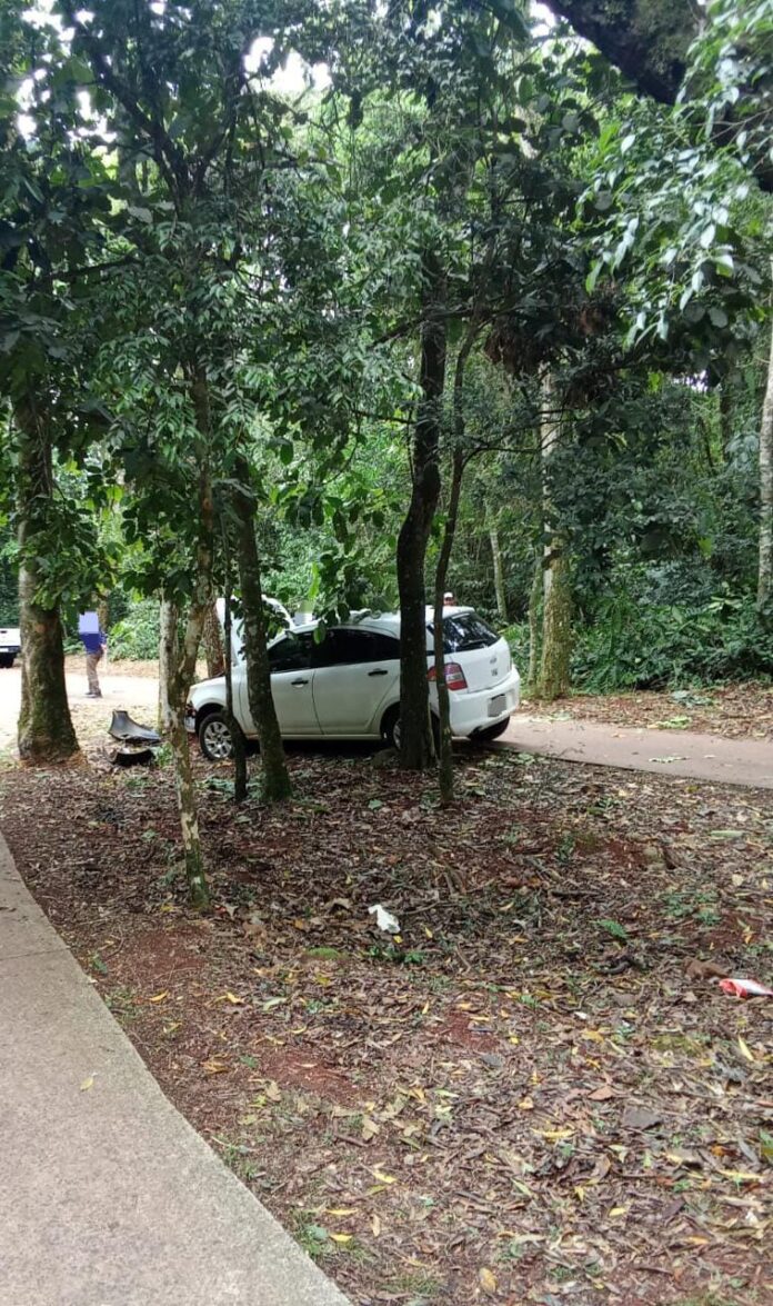 WhatsApp Image 2025-10-29 at 11.13.34