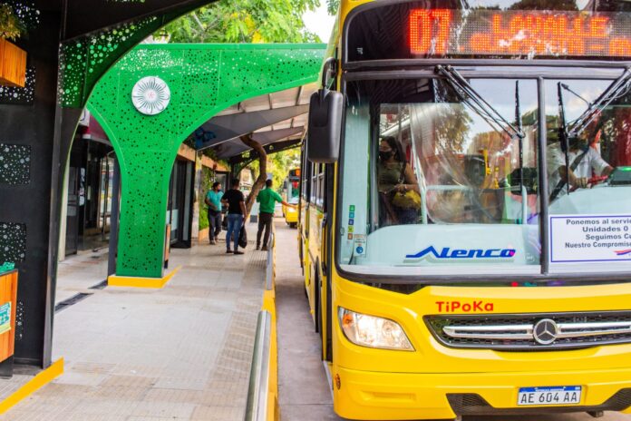 colectivo(3)