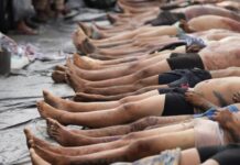 Horror en Río de Janeiro: asciende a 120 el número de muertos