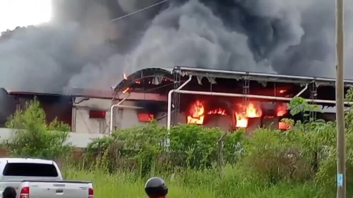 13-255-SVTn5F1763327371742_1080P