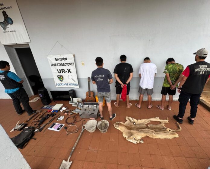 Confirmaron-que-el-pelaje-secuestrado-en-Posadas-es-de-un-puma-en-peligro-de-extincion-1