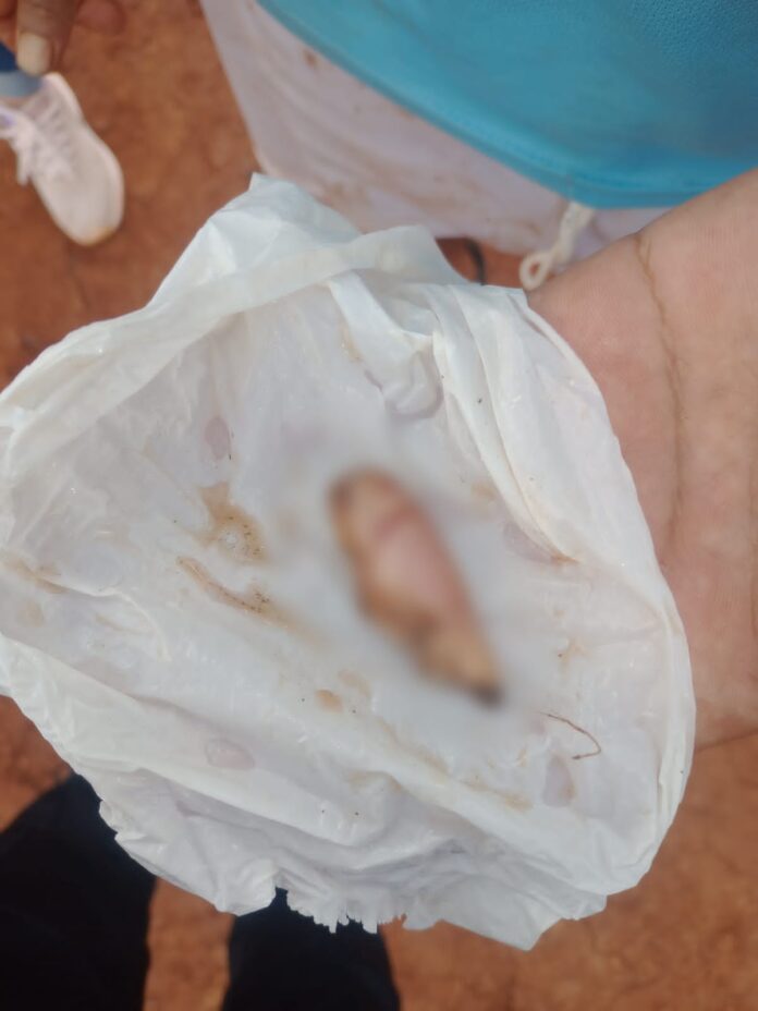 WhatsApp Image 2025-11-03 at 19.53.24