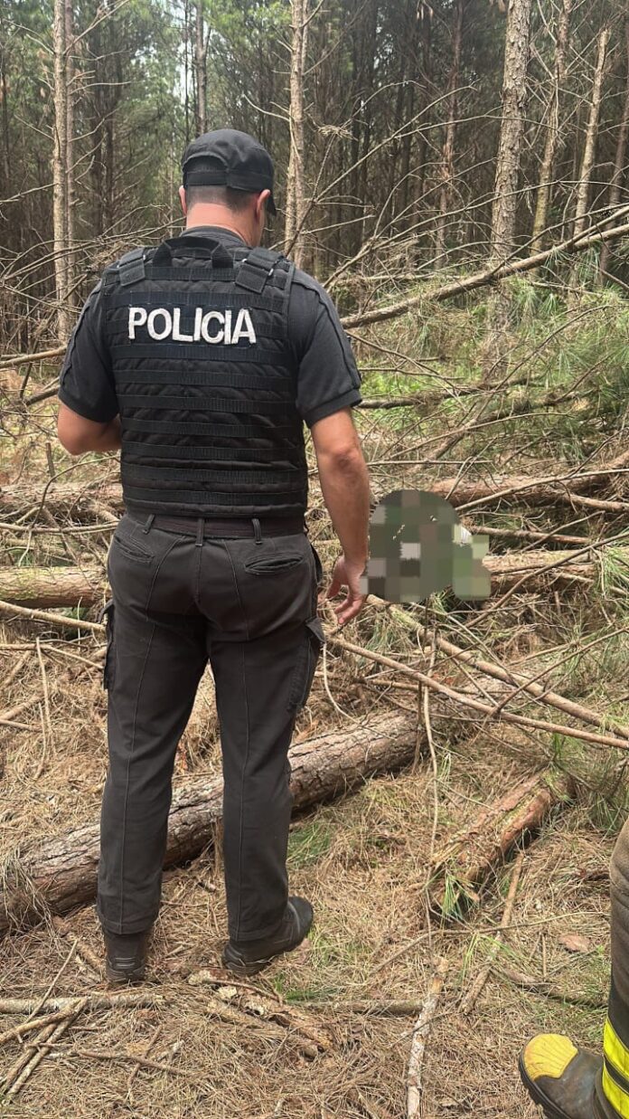 WhatsApp Image 2025-11-05 at 11.51.47