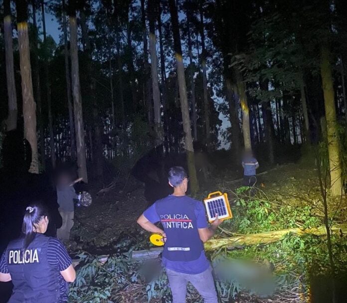 WhatsApp Image 2025-11-12 at 05.53.17