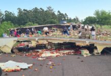 Volcó un camión con verduras en la Ruta 12 y la gente se llevó la carga