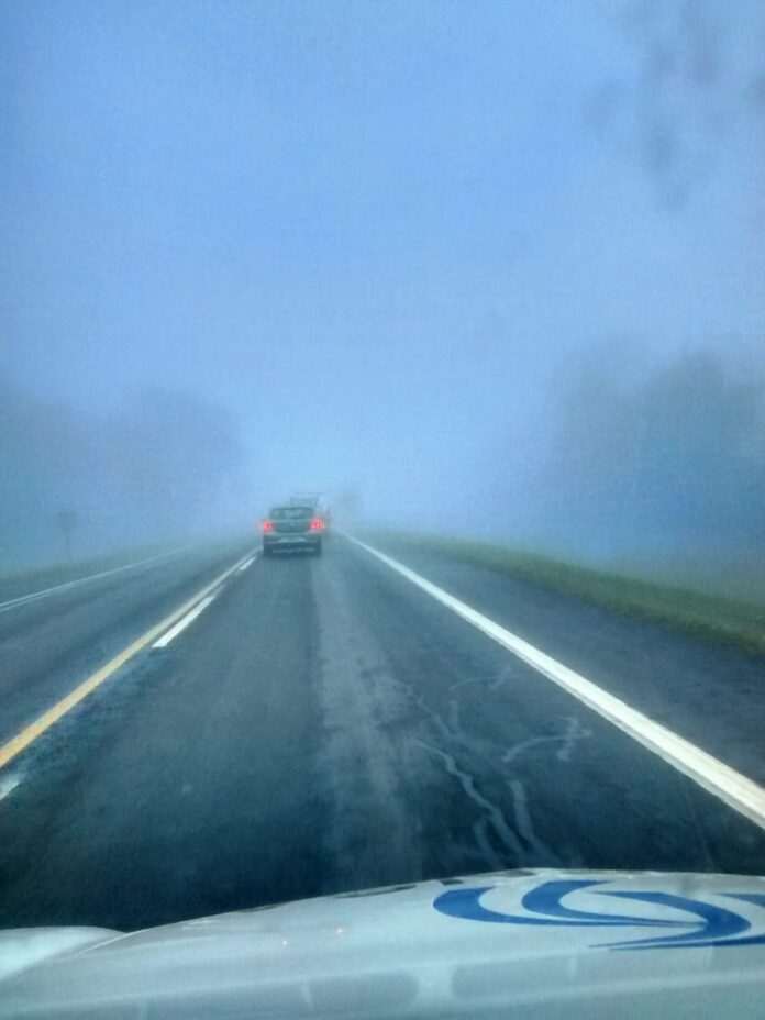 WhatsApp Image 2025-11-17 at 07.43.59