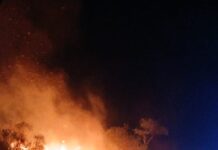 Contuvieron incendio de malezas que amenazaba viviendas y una escuela en Santa Ana