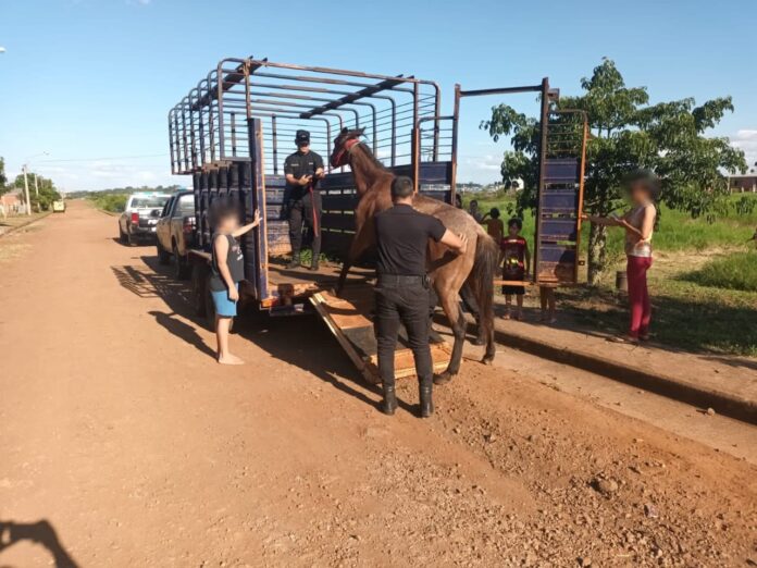 WhatsApp Image 2025-11-27 at 08.18.21