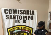 Rescataron en Santo Pipó a un pichón de tucán encontrado en plena área urbana