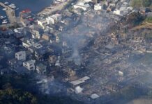 Devastador incendio en Japón dejó más de 170 edificios destruidos
