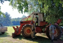 Incautaron madera nativa extraída ilegalmente en un área natural protegida de Misiones