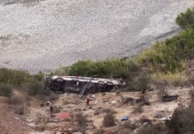 Un micro cayó en un barranco en Perú: hay al menos 37 muertos
