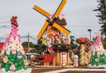 Comienza la 30ª Fiesta Nacional de la Navidad del Litoral en Alem