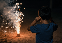 El Gobernador pidió celebrar las fiestas sin pirotecnia para cuidar a las familias y a los animales