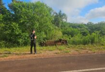 Otro despiste sobre la Ruta Provincial Nº 103