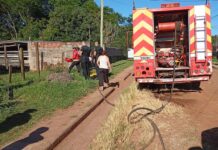 Prevención de incendios: Misiones potencia su estrategia anual con la campaña “No me quemés”