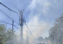 Bomberos controlaron un incendio de malezas en Posadas