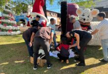 Hallaron a la menor buscada en Alem: estaba escondida dentro de un adorno navideño