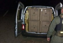 San Vicente: transportaban más de 16 mil paquetes de cigarrillos de contrabando