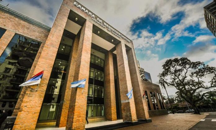 WhatsApp Image 2025-12-11 at 07.49.53