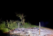 Incendio consumió una vivienda de madera en San Pedro