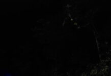 “Enfriaban” una carga de cigarrillos valuada en cerca de $10 millones