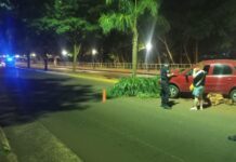 Posadas: una mujer resultó lesionada tras despistar con su auto en el Acceso Oeste