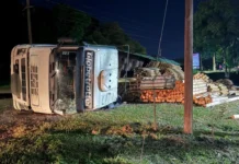 Volcó un camión cargado con madera en San Vicente