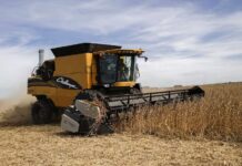 El Gobierno nacional anunció una nueva baja en las retenciones para el campo