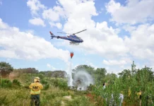 Plan de Manejo del Fuego: la Provincia incorpora torres de vigilancia y equipamiento para brigadistas