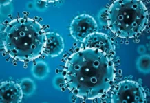 Chile detectó la variante H3N2 y Argentina analiza si el virus ya circula en el país