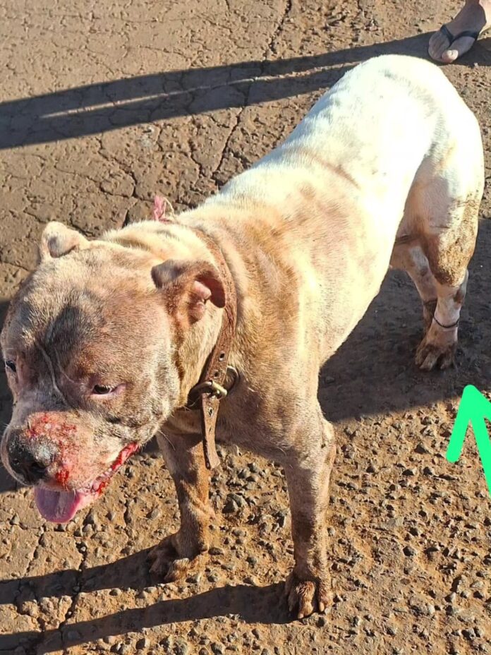 607724112_1330022462474900_2243849929657172942_n