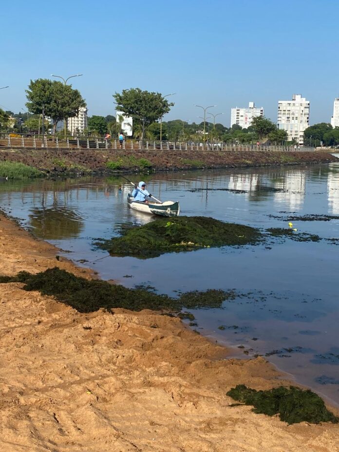 WhatsApp Image 2026-01-29 at 11.27.57