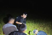 Patrullajes preventivos en Campo Viera finalizaron con el secuestro de envoltorios de marihuana