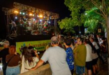 Color, ritmo y tradición: Posadas dio inicio a los Carnavales Provinciales