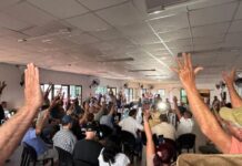 Crisis yerbatera: productores votaron el cese total de cosecha