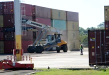 Record histórico: las exportaciones de Misiones en 2025 representaron casi el 50% del NEA