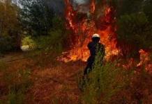 Alerta naranja por alto riesgo de incendios en Misiones