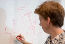 Importante hallazgo argentino permite el desarrollo de un marcapasos más avanzado