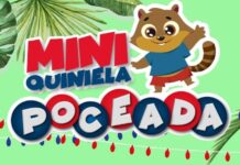 Apostador de Alem se llevó más de 53 millones de pesos con la Mini Poceada