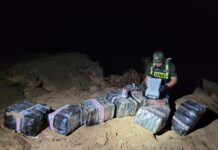 Gendarmes decomisaron más de 300 kilos de marihuana que fueron arrojados desde el Río Paraná