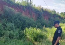 Motociclista murió tras despistar sobre la Ruta Nacional 12 en Puerto Rico